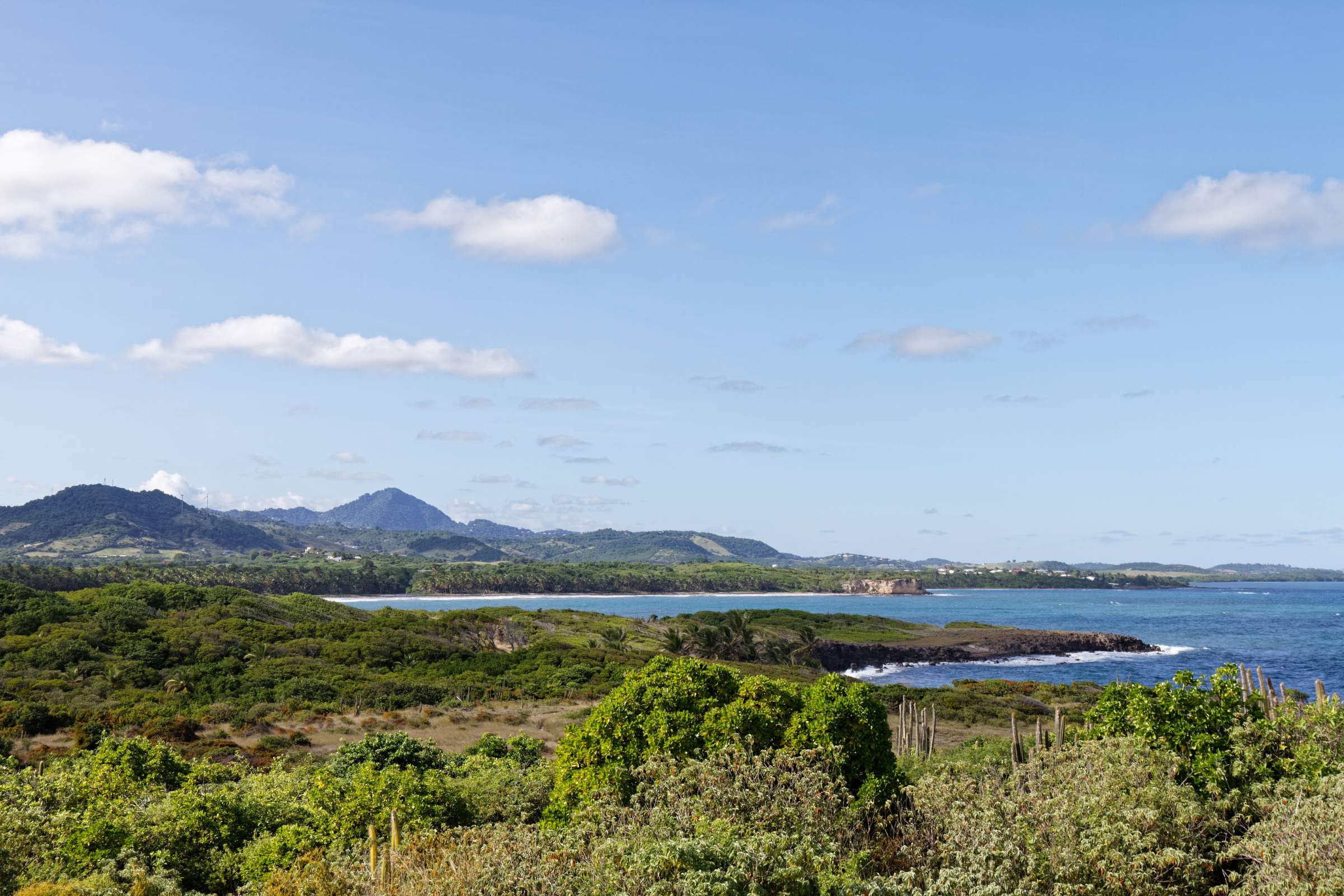le marin (2).webp
